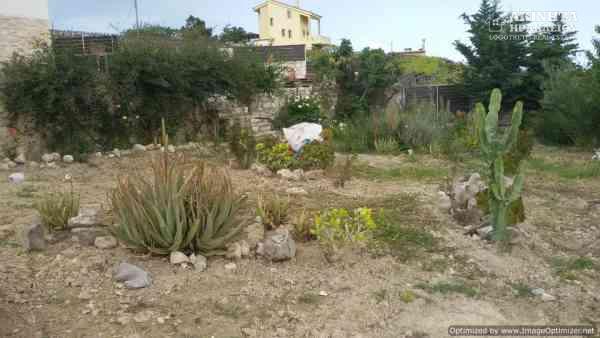 20190420_141706.jpg